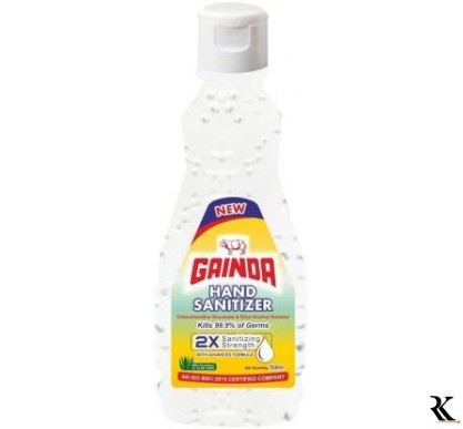 GAINDA 2X Sanitizing Strength Hand Sanitizer Bottle  (0.25 L)